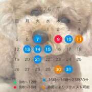 ヒメ日記 2026/06/29 16:08 投稿 ゆうこ ハピネス東京 吉原店