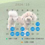 ヒメ日記 2026/10/10 12:10 投稿 ゆうこ ハピネス東京 吉原店