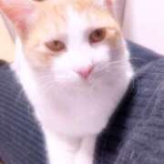 ヒメ日記 2025/12/12 16:45 投稿 ゆうな 熊谷人妻城