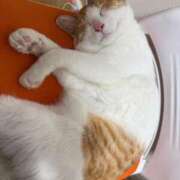 ヒメ日記 2026/01/23 15:57 投稿 ゆうな 熊谷人妻城