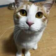 ヒメ日記 2026/02/12 17:31 投稿 ゆうな 熊谷人妻城