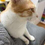 ヒメ日記 2026/03/03 18:35 投稿 ゆうな 熊谷人妻城