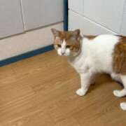 ヒメ日記 2026/03/04 15:31 投稿 ゆうな 熊谷人妻城