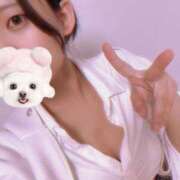 ヒメ日記 2025/10/10 02:44 投稿 まい☆グラビア級のスタイル わんないとらぶ