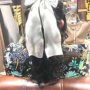 ヒメ日記 2026/09/14 17:42 投稿 たると 新宿サンキュー