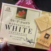 ヒメ日記 2026/01/08 11:54 投稿 あめ いざ候 別館