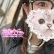 ヒメ日記 2026/02/18 12:24 投稿 あめ いざ候 別館