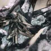 ヒメ日記 2026/02/20 12:04 投稿 あめ いざ候 別館