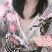 ヒメ日記 2026/03/03 11:54 投稿 あめ いざ候 別館