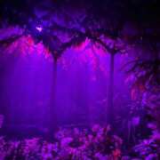 ヒメ日記 2026/03/10 12:10 投稿 あめ いざ候 別館