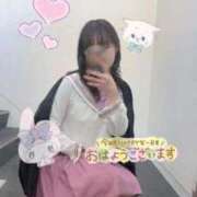 ヒメ日記 2026/04/08 17:14 投稿 あめ いざ候 別館