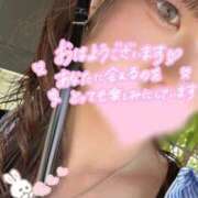 ヒメ日記 2026/05/14 10:37 投稿 あめ いざ候 別館