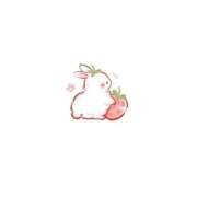 ヒメ日記 2026/05/29 17:43 投稿 ☆もね☆ Kiseki