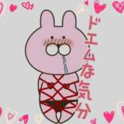 ヒメ日記 2025/11/14 16:52 投稿 さや 熟女の風俗最終章　越谷店