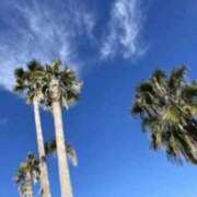 ヒメ日記 2025/11/17 12:50 投稿 しずか 中洲秘密倶楽部