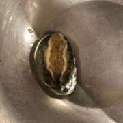 ヒメ日記 2025/11/18 14:05 投稿 しずか 中洲秘密倶楽部