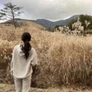 ヒメ日記 2025/11/25 11:05 投稿 しずか 中洲秘密倶楽部