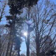 しずか ? 中洲秘密倶楽部