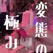 ヒメ日記 2026/10/08 17:30 投稿 しずか 中洲秘密倶楽部