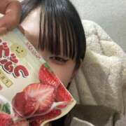 ヒメ日記 2026/02/17 20:15 投稿 立花　すず NADIA京都店