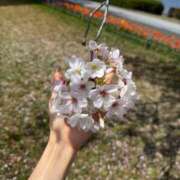 ヒメ日記 2026/04/06 17:09 投稿 みお アクアマリン