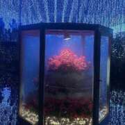 ヒメ日記 2026/02/09 19:48 投稿 ほのか 東京巨乳デリヘル おっぱいマート