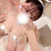 あんこ 急に飛び出てごめんなさい😢 INFINITY GOLD～インフィニティゴールド～