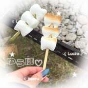 ヒメ日記 2025/11/06 14:55 投稿 ゆうほ【ドM潮吹き変態娘】 STELLA NEXT－ステラネクスト－