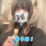 ヒメ日記 2025/11/23 22:02 投稿 ゆうほ【ドM潮吹き変態娘】 STELLA NEXT－ステラネクスト－