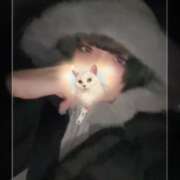 ヒメ日記 2026/01/13 03:46 投稿 ゆうほ【ドM潮吹き変態娘】 STELLA NEXT－ステラネクスト－