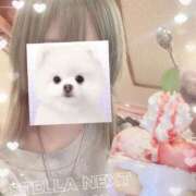 ヒメ日記 2026/01/14 18:36 投稿 ゆうほ【ドM潮吹き変態娘】 STELLA NEXT－ステラネクスト－