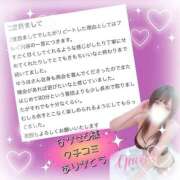 ヒメ日記 2026/01/30 19:47 投稿 ゆうほ【ドM潮吹き変態娘】 STELLA NEXT－ステラネクスト－