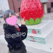 ヒメ日記 2026/03/06 10:16 投稿 ゆうほ【ドM潮吹き変態娘】 STELLA NEXT－ステラネクスト－