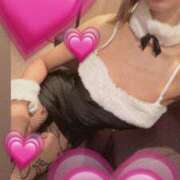 ヒメ うさぎ ルパン