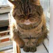 あまね 😷🌀🍃 2980円