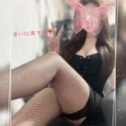 ヒメ日記 2026/02/19 14:40 投稿 おこい セクシーパラダイス3