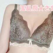 ヒメ日記 2025/11/17 12:05 投稿 さき 玉乱☆痴（たまらんち）