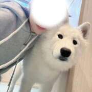 ヒメ日記 2026/01/17 09:42 投稿 HARUNO（はるの） UTAKATA