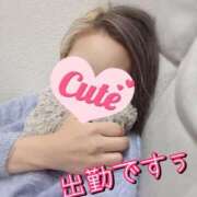 ヒメ日記 2025/10/30 09:55 投稿 のあ 厚木人妻城