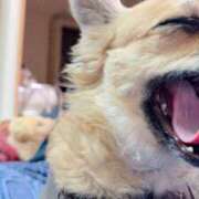 ヒメ日記 2025/11/13 14:43 投稿 のあ 厚木人妻城