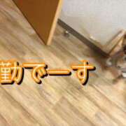 ヒメ日記 2025/11/14 09:00 投稿 のあ 厚木人妻城