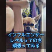 ヒメ日記 2025/11/14 21:02 投稿 のあ 厚木人妻城