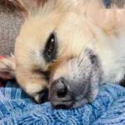 ヒメ日記 2025/11/21 11:32 投稿 のあ 厚木人妻城