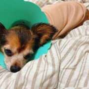 ヒメ日記 2025/12/08 09:08 投稿 のあ 厚木人妻城