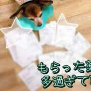 ヒメ日記 2025/12/08 22:21 投稿 のあ 厚木人妻城