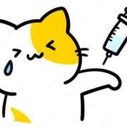 ヒメ日記 2025/11/08 15:09 投稿 あいか 多治見・土岐・春日井ちゃんこ