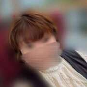 あいか お花見🌸 多治見・土岐・春日井ちゃんこ