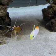 四ノ宮　のぞみ ごめんなさい🙇‍♀️ プルプル札幌性感エステ はんなり