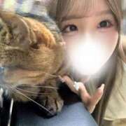 ヒメ日記 2025/11/17 11:52 投稿 華咲りお JKリフレ東京 秋葉原本店