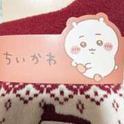 ヒメ日記 2025/10/25 08:00 投稿 梓ゆい【OL委員会】 柏OL委員会